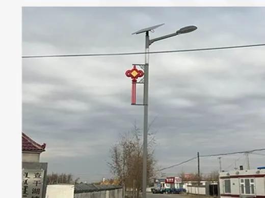 山东菏泽道路亮化案例
