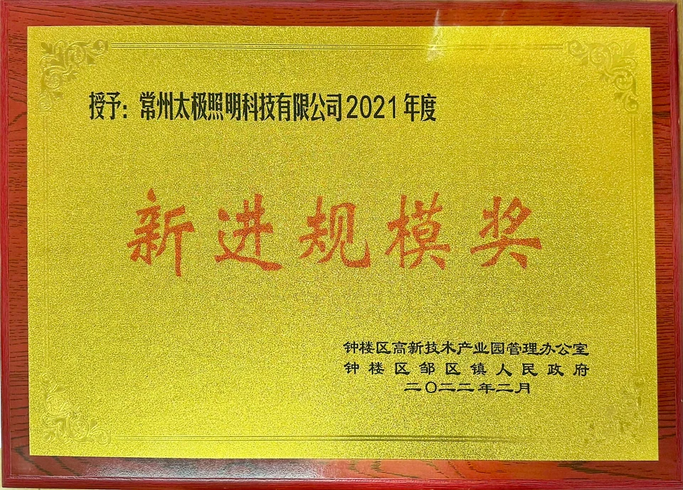 2021年度新进规模奖（奖牌）