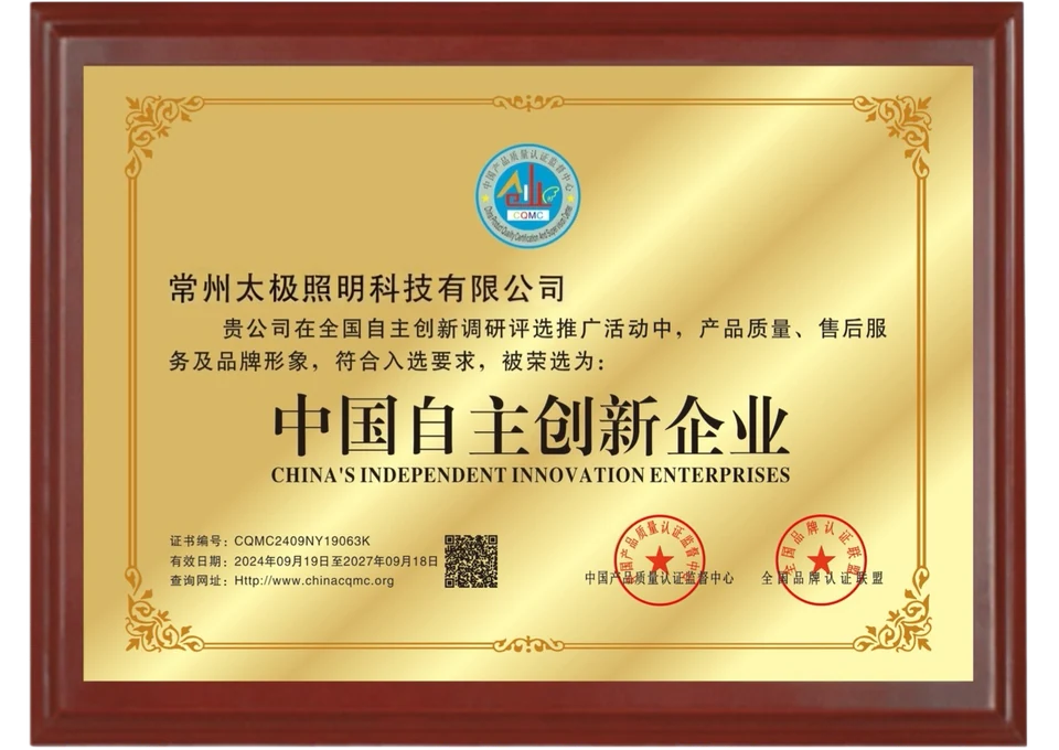 中国自主创新企业
