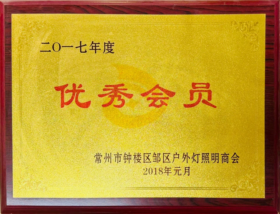 2017年度优秀会员（奖牌）